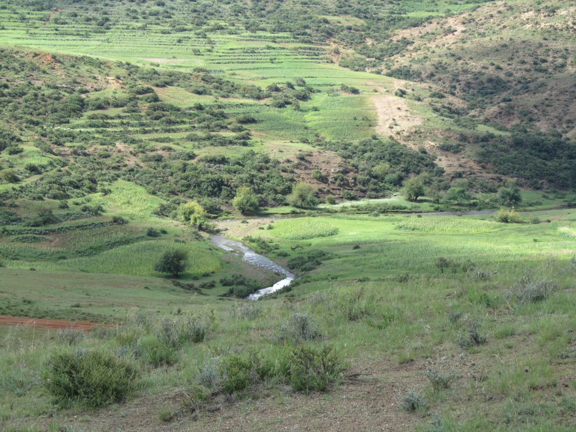 Maluti Stay Lodge Ramabanta Luaran gambar